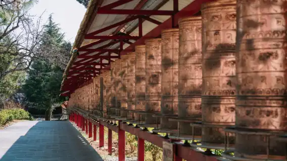 Lijiang + Blue Moon Valley + Baisha Ancient Town + Wenhai Lake 1-day tour [Lijiang private charter self-guided tour]