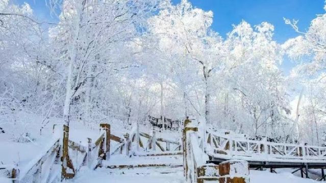 長白山北坡景區一日遊【萬達/魯能起止 上門接駁 迷你小團】