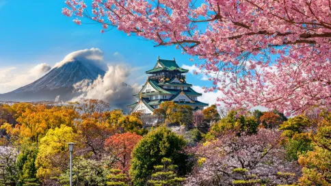 日本全境定制包車遊 大阪/京都/奈良/神戶/東京/富士山/鐮倉包車一日遊【含華人司機 上門接送 可私人訂制行程 多地出發】 日本全境定制包車遊 大阪/京都/奈良/神戶/東京/富士山/鐮倉包車一日遊【含華人司機 上門接送 可私人訂制行程 多地出發】