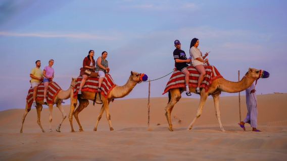 Tagesausflug: Abholung und Rücktransfer vom Hotel, Dünenfahrten + Sandboarding, Kamelreiten (wiederholbar).