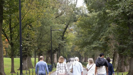 National Mall & Washington Monument: Guided Walking Tour