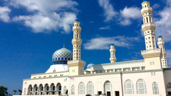 Pink Mosque at Universiti Malaysia Sabah + Kota Kinabalu City Mosque + Tun Mustapha Tower half-day tour