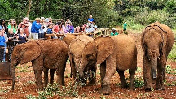 NairobiTours