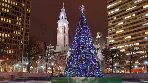 Holiday Lights Tour | Groups