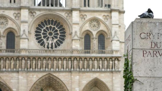 ChateauredonTours