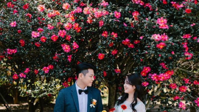 渭南Tripメモリー【ウェディングフォト・ショートムービー・空撮/結婚式撮影/メイク・衣装/カスタマイズ】