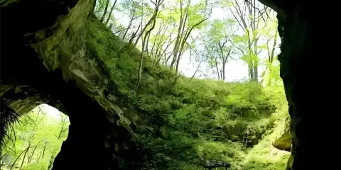 6人團—漢中略陽靈巖寺+五龍洞國家森林公園輕鬆一日遊