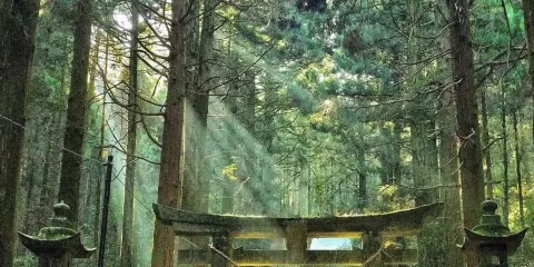 日本九州熊本城+水前寺成趣園+櫻之馬場|中文包車+行程可調