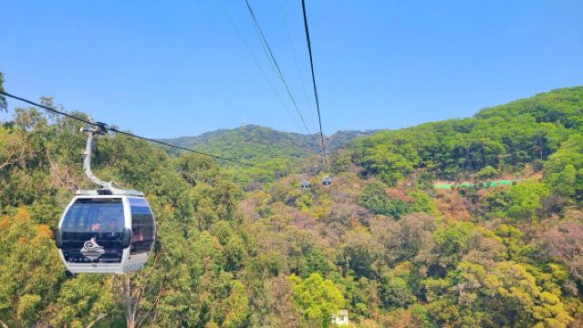 廣州黃埔軍校＋海心橋＋陳家祠＋沙面一日遊|私人小團上門接駁