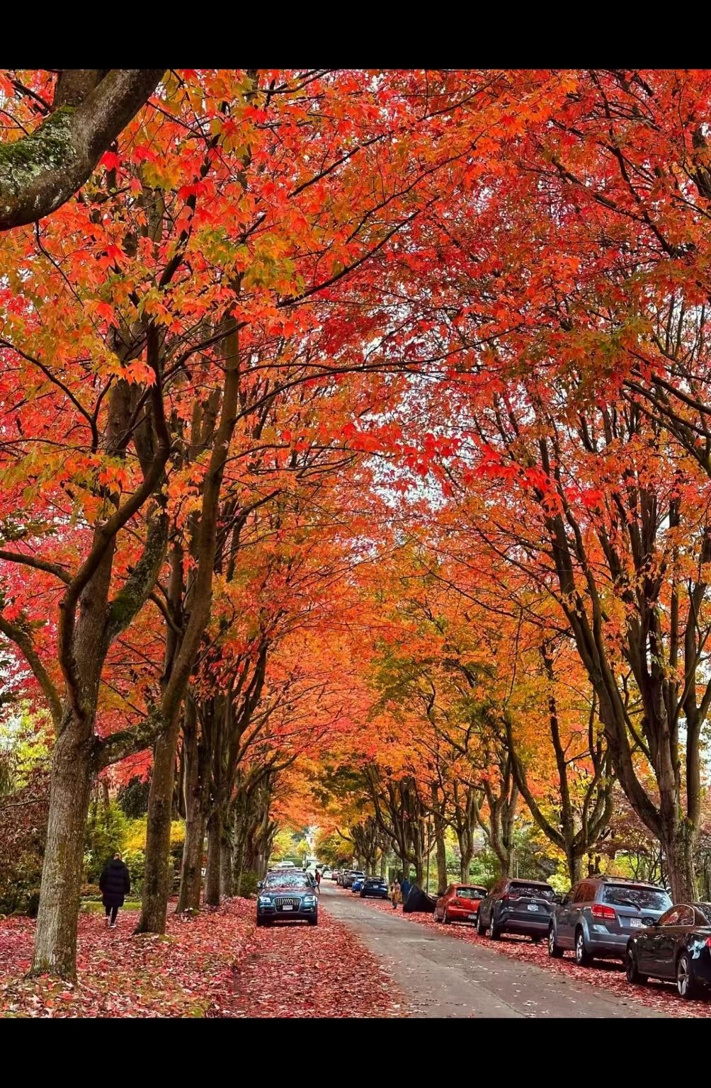 Kanada + Privattransfer zwischen Vancouver (YVR) Flughafen und Hotel / maßgeschneiderter Privattransfer möglich