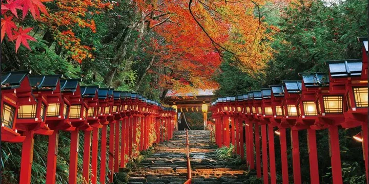 교토소규모투어