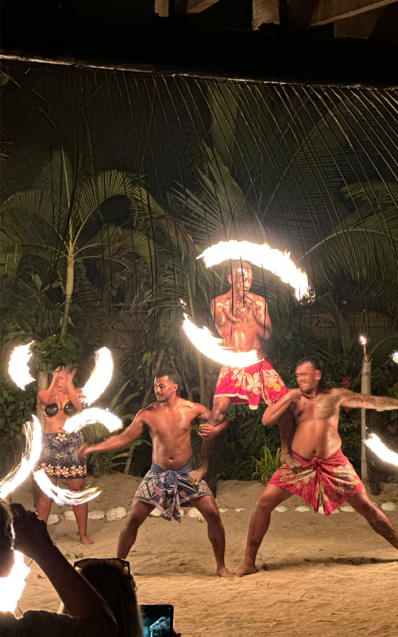 Tour di un giorno all'isola Robinson a Fiji [Isola Robinson + danza con le torce + banchetto]