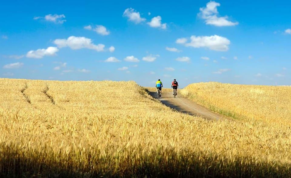Da Siena: tour in bici elettrica nel Chianti