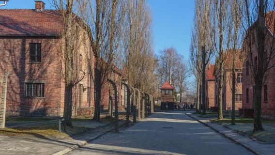 Krakow: Auschwitz-Birkenau Entry Ticket and Transfer