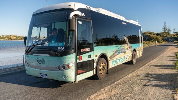 From Perth: Rottnest Island Full-Day Bike and Ferry Trip