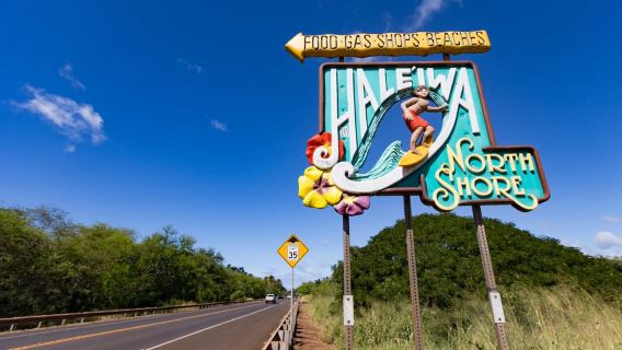 Honolulu: tour dell'isola di Oahu Sights and Bites