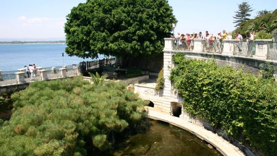 Syracuse: Ortigia Classic Walking Tour