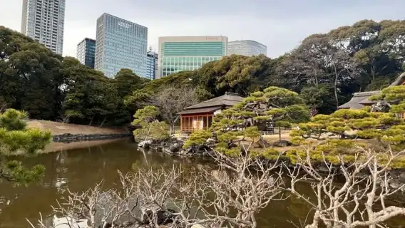 東京：日本花園健行之旅（含茶和甜點）
