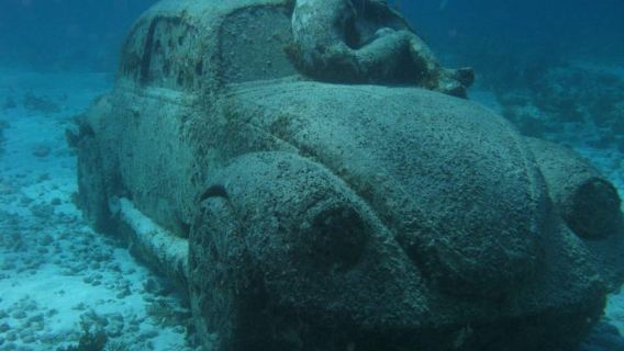 Cancun: Schnorcheln im Unterwassermuseum und Manchones-Riff