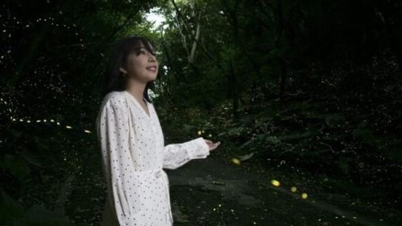 Iriomote Island Limited Time Yaeyama Firefly Viewing Tour