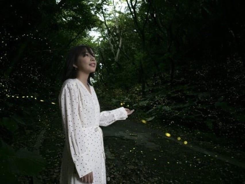 Ishigaki Island: Yaeyamahime Firefly Viewing Tour