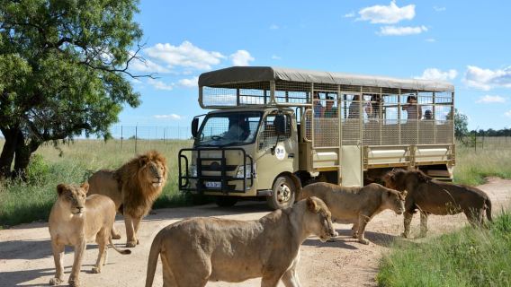 Hartbeespoort: Predator Safari with a Guide