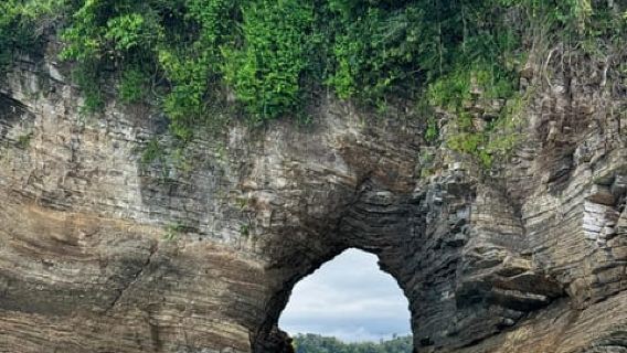 Uvita: Wal- und Delfinbeobachtungs-Bootstour mit Getränken und Snacks
