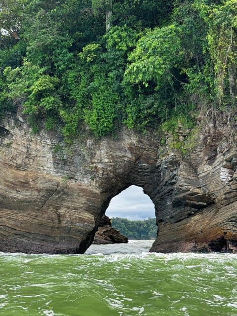 Uvita: Whale & Dolphin Watching Boat Trip w/ Drinks & Snacks