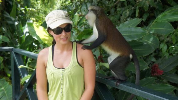 Escursione naturalistica alla cascata "Tropically Yours".