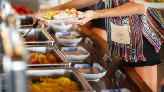 Bangkok: Pattaya Elephant Jungle Sanctuary Half-Day Tour