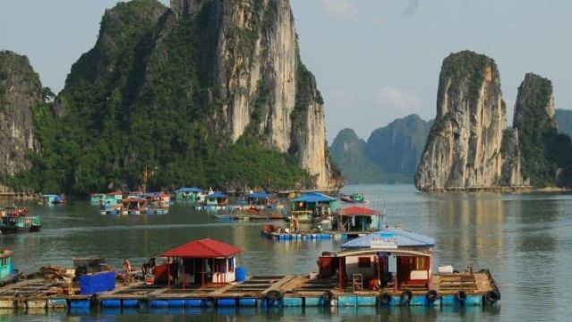 ハノイ発:ハロン市湾4時間クルーズ(カヤック体験・ティエンクン洞窟・ランチ付き)