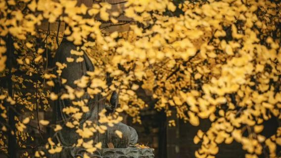 古觀音禪寺+重陽宮+活死人墓一日遊【真純玩+三環內接駁】