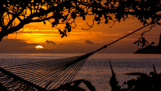 Однодневная экскурсия на Малоло, Фиджи: попробуйте местную кухню, насладитесь VIP-обслуживанием и окунитесь в первобытную жизнь Фиджи.