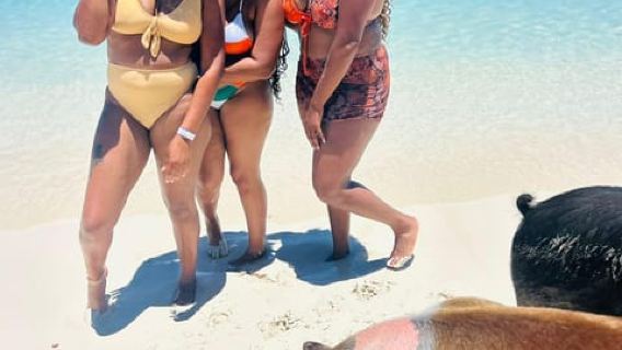 Nassau: Half-Day Swimming Pigs, Reef Snorkel & Beach Club