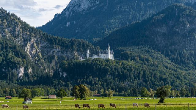 慕尼黑+新天鵝堡+林德霍夫宮一日遊【參觀童話般的新天鵝堡】