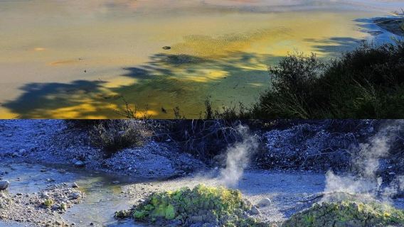 新西蘭羅托魯瓦紅木森林+胡卡瀑布+陶波湖山水一日遊