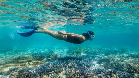 Mataking, Timba-Timba & Pandanan Island Dream Day Tour – Tropical Paradise Hopping & Snorkeling Adventure