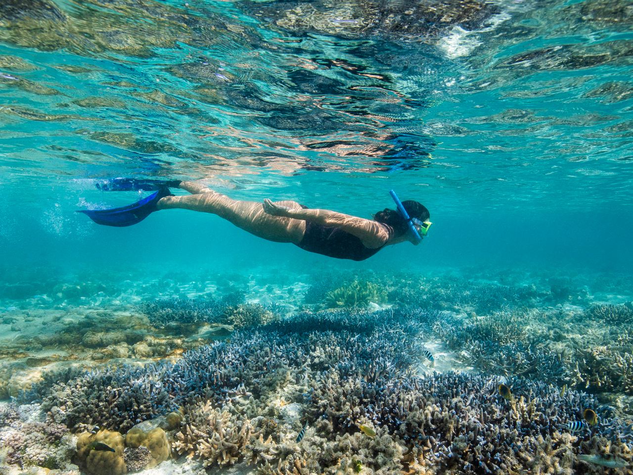 Perjalanan satu hari impian ke Pulau Mataking, Pulau Timba-Timba, dan Pulau Pom Pom di Semporna