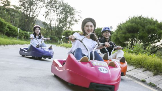 South Korea Incheon Fun one-day tour[A-1] (Departs every Mon, Wed, Fri) Luge+Railbike+Feeding seagulls+Wolmido+Fairy Tale Village+China Town +Sinpo International Market