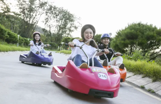 韓國仁川好玩一日遊A-1  (一、三、五出發） 江華海邊度假村斜坡滑車+永宗海邊鐵路自行車+月尾島餵海鷗+松月洞童話村・中國城+新浦市場一日遊