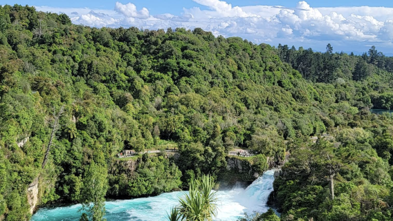紐西蘭奧克蘭-科羅曼德爾森林公園徒步遊【中文專車-愜意舒適】