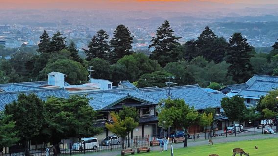 Kyoto|Nara-Park + Sannen-zaka/Ninen-zaka + Kiyomizu-dera + Fushimi Inari-Taisha|Fahrgemeinschaft/Reiseleiter