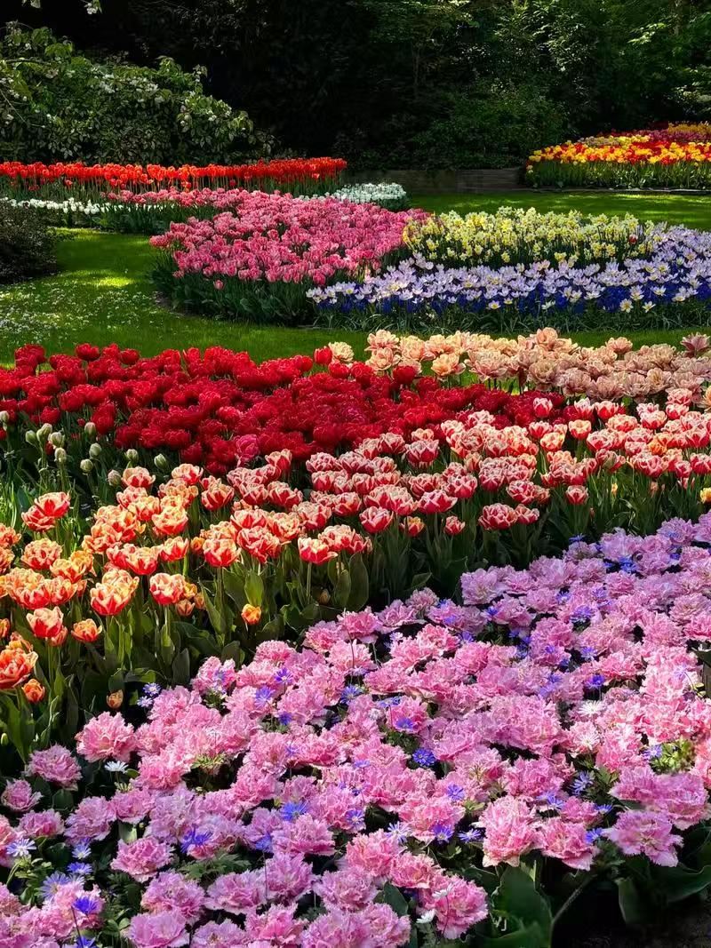 馬爾肯+羊角村+梵高博物館。