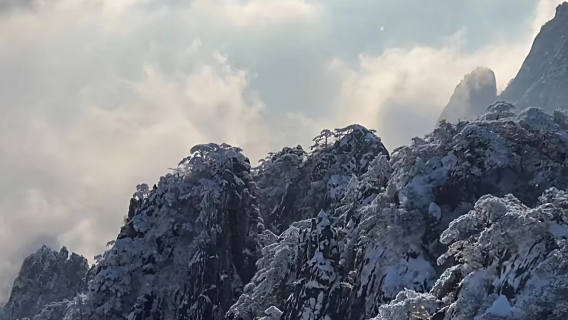 黃山經典1日遊【光明頂+迎客松+西海大峽谷｜懶人首選】