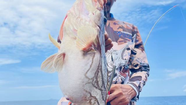 馬來西亞仙本那體驗海釣 半日遊出海釣魚 上下午專業海釣船