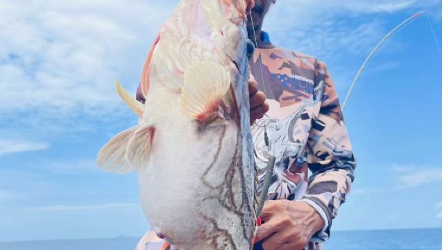 Pengalaman memancing laut di Semporna, Malaysia - lawatan separuh hari memancing di laut dengan bot memancing profesional pada waktu pagi atau petang