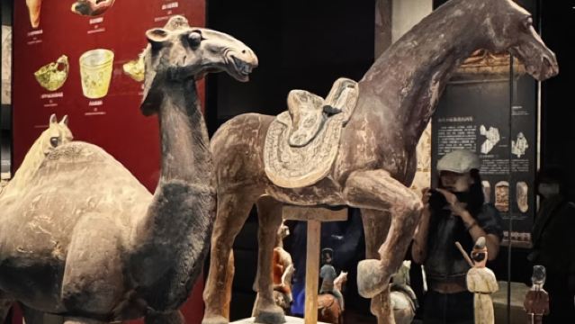 Muzium Wilayah Autonomi Xinjiang Panduan Secara Langsung [Penerangan Berpandu Profesional 2.5 Jam. Kumpulan 1-15 Orang]