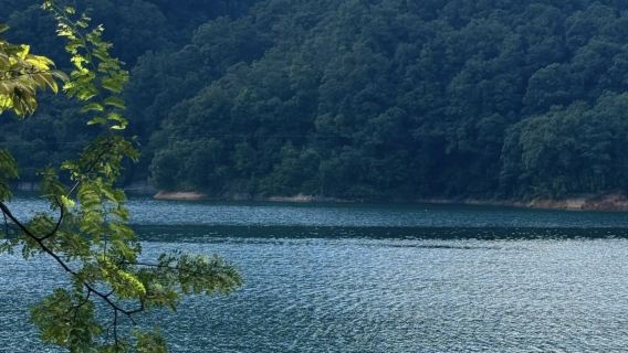 Taman Negara Hutan Sungai Liuxi Conghua + Lawatan Sehari Kampung Pelancongan Xitou | Sewaan Peribadi dengan Pengangkutan Pintu ke Pintu