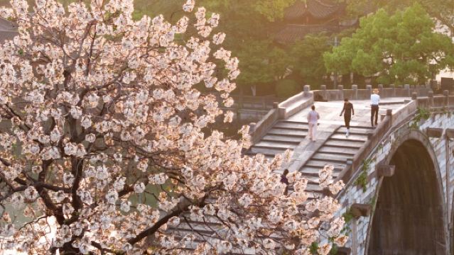 Esperienza culinaria cinese [Passeggiata lungo il Canale Imperiale di Hangzhou e sul Ponte Gongchen + Preparazione di dolci tradizionali di Hangzhou]