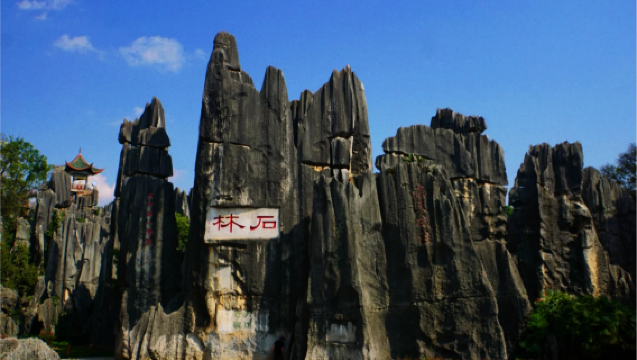 Premium Kunming private tour: 1-day tour to Shilin and Jiuxiang scenic area